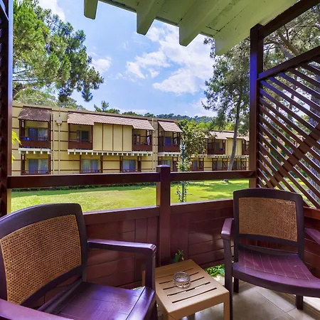 Complex Robinson Camyuva - Adults Only